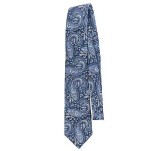 Daniel Cremieux Signature Collection Tie Limited Edition 100% Silk Blue Necktie